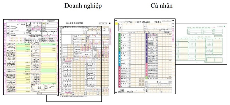 thông tin liên quan virus corona ở nhật bản
