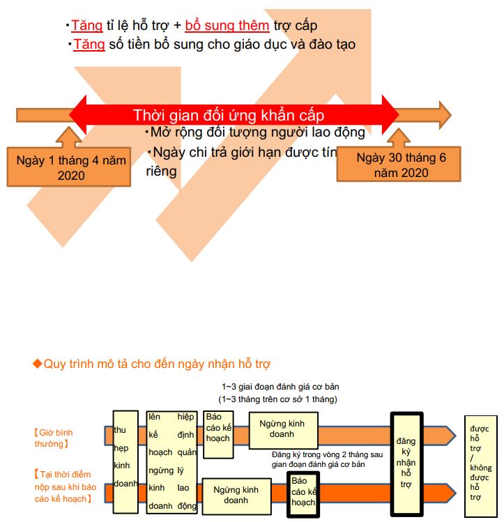 thông tin liên quan virus corona ở nhật bản